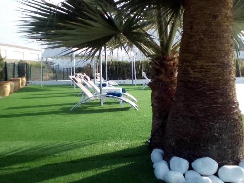 Avent Verahotel - image 11