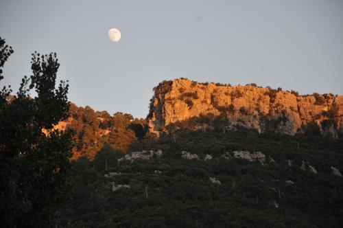 Alojamientos Rural Tejerina