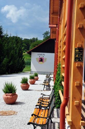 Natura Amon - image 11