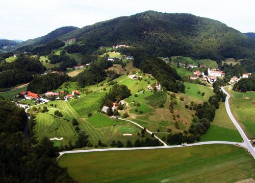 Natura Amon - image 8