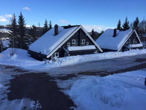 Trysil Alpin 16A Top location Trysil Alpin 16A Top location