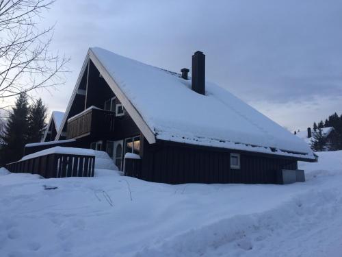Trysil Alpin 16A Top location Trysil Alpin 16A Top location