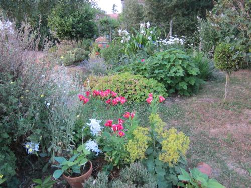 La Maison Du Jardin gîte à louer Cossé-d'Anjou