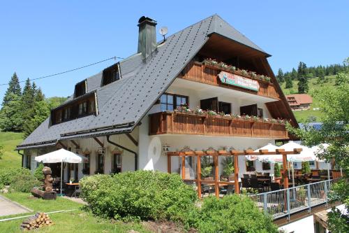 Hotel & Restaurant Grüner Baum - Die Grüne Oase Am Feldberg, Feldberg