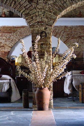  Cantinho do Bem Estar in Redondo