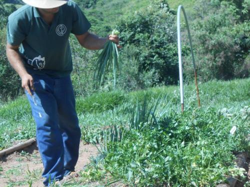 Camping e Chale Estacao Rural