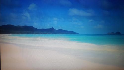 All Inclusive Waimanalo Beachlots, Sleeps 8