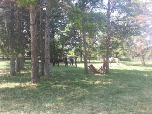 Guest House Ongal - image 14