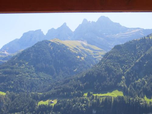 Hotel Suisse - image 2