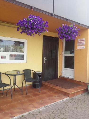 Solena in 阿利圖斯