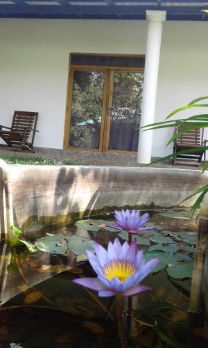 สวน, River Retreat Sigiriya in สิคีรียา