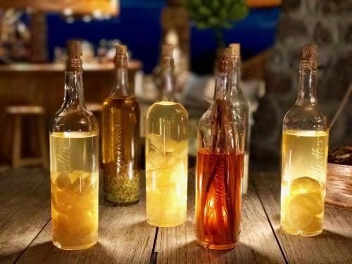 Le Chateau de feuilles Le Chateau de feuilles图片