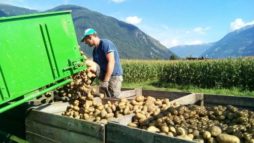 Accommodation in Province of Cagliari