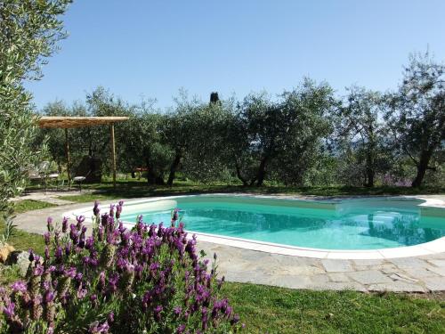 Agriturismo Il Castagnolino - Hotel - San Gimignano