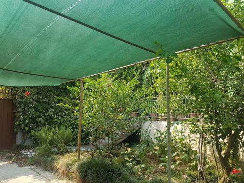 Rooms Primavera Vila photo 1