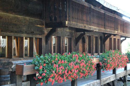 Ferienwohnungen Sternenthal - main image