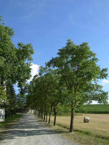 Agriturismo La Mussia