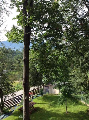 Apartament Cicha Woda Zakopane, Zakopane (fotografie 2)