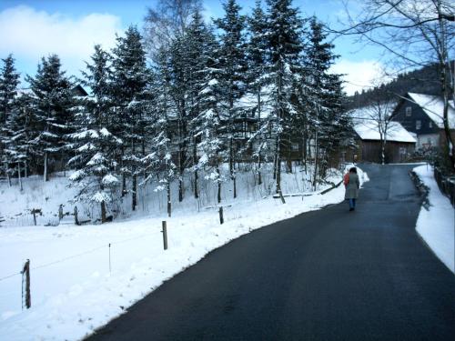 Gasthof Haus Hubertus - image 3