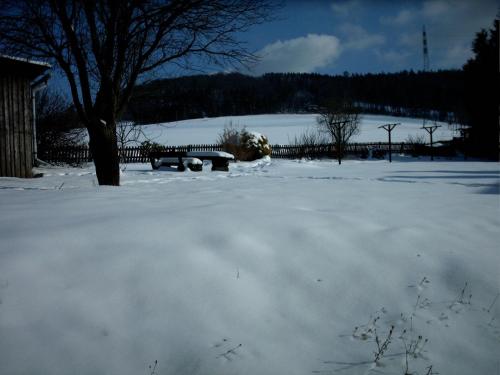Gasthof Haus Hubertus - image 14