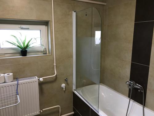 Heviz Therme Apartmenthaus - image 6