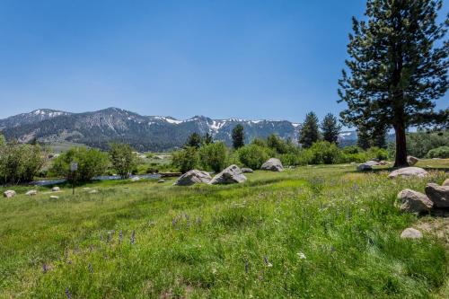Mammoth Creek Condos - image 8