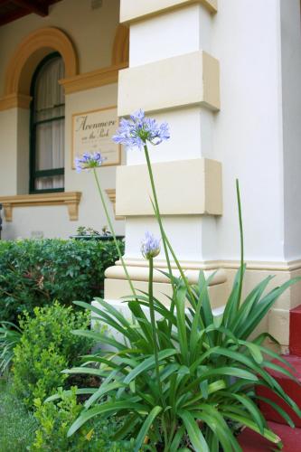 Avonmore on The Park Boutique Hotel - image 14