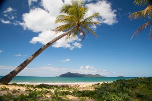 7 McNamara - Wongaling Beach in Wongaling Beach