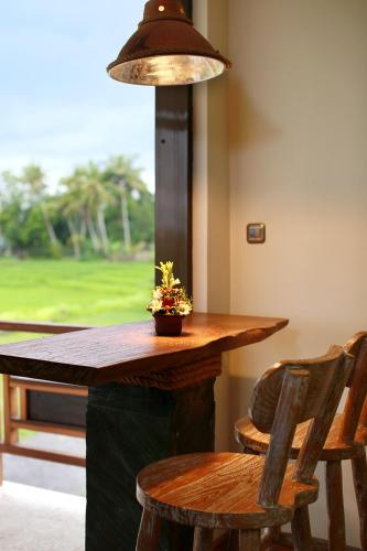 Emerald Studios Paddy View