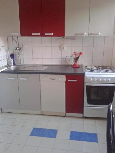 Apartments Anita - image 7