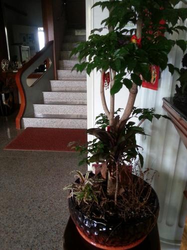 O-Sun-Win Hotel in Meishan Township