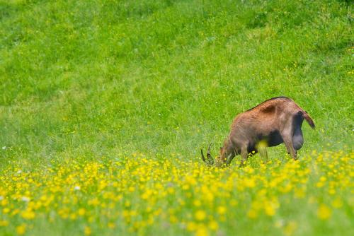 Hotel La Posada - image 9
