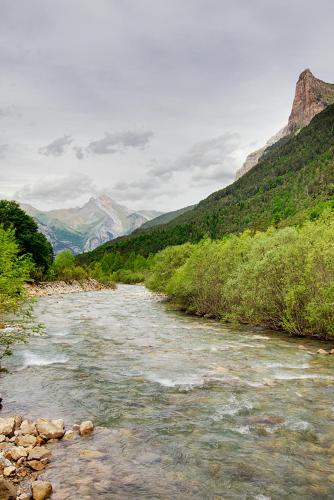Hotel La Posada - image 5