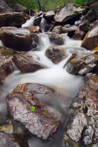 Hotel La Posada - image 6
