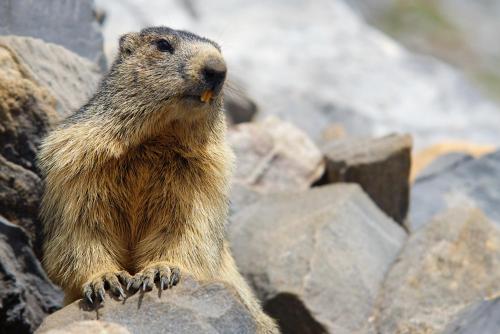 Hotel La Posada - image 7