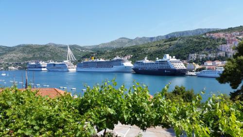  Amfora Apartment, Pension in Dubrovnik