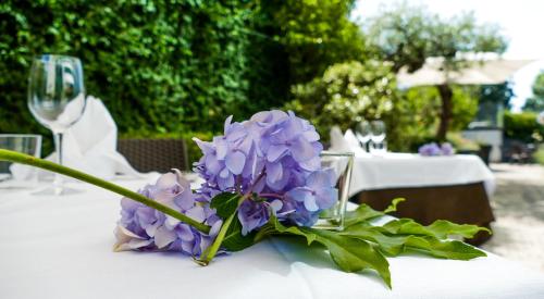 Hotels Image