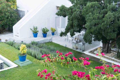 109638049 Kalá Hotel Boutique