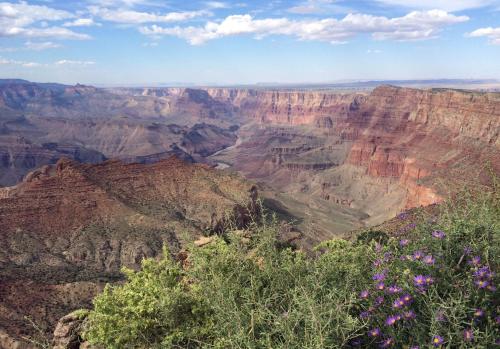 Grand Canyon Plaza Hotel - image 6