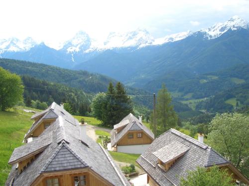 Almresort Baumschlagerberg - image 3