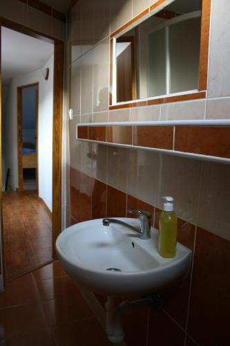 Bathroom, Dolinka Holiday Home in Levoca