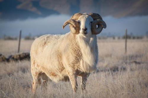 . Highlands Farm Stay