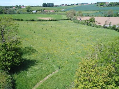 Rural g te surrounded by fruit trees