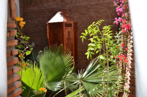Riad Laith 2