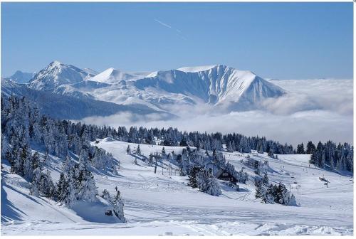 Appart Eterlou Chamrousse in Chamrousse