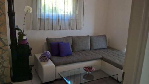  Apartment Pesun, Pension in Bribir