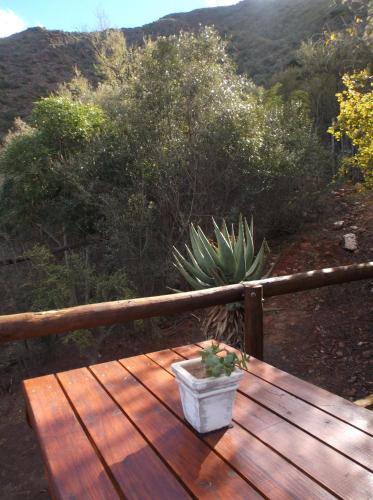 Old Mill Lodge, Working Ostrich Farm & Restaurant, Oudtshoorn Room Type - Luxury Tent 6/7