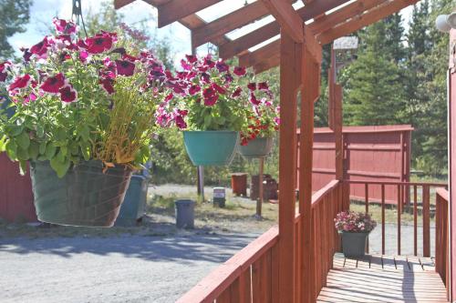 Uncle Nicolai's Inn B&B