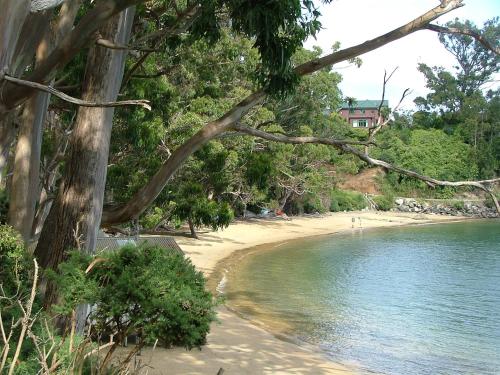 ที่เที่ยวใกล้ที่พัก, Kowhai Lane Lodge in เกาะสเตวาร์ท