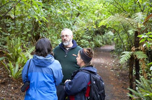 科槐莱恩山林小屋